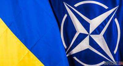 В Североатлантическом альянсе Украина получила статус страны-аспиранта