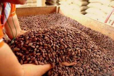 Украина нарастила экспорт какао почти на 44%