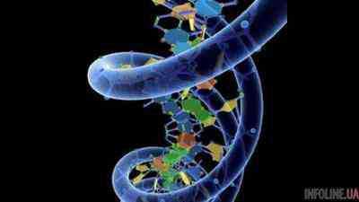 В клетках человека нашли новую структуру ДНК