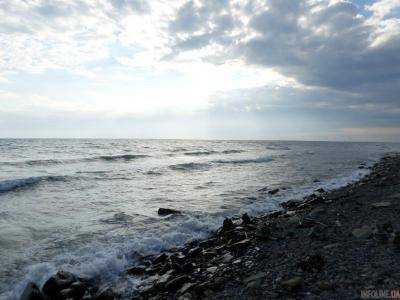 Начало сезона в Крыму:  море почернело, купаться больше нельзя. Кадры позора оккупантов