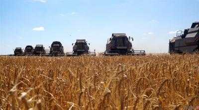 В Украине собрали первые 10 500 тонн озимой пшеницы
