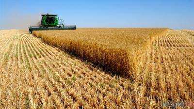Украина почти на 10% снизила экспорт зерновых