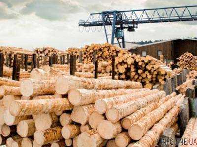 За полгода таможенники зафиксировали нарушений при экспорте леса на 35 млн грн