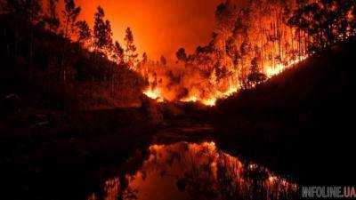 Испанию охватили лесные пожары