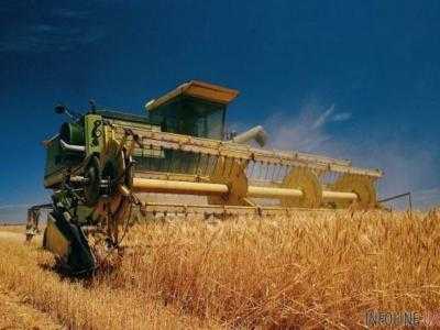 Аграрии уже намолотили 22,4 млн тонн зерна нового урожая