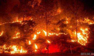 Австралия и Новая Зеландия помогут ликвидировать пожары в Калифорнии