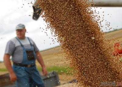 Аграрии продолжают жатву: намолочено 28,6 млн тонн зерна