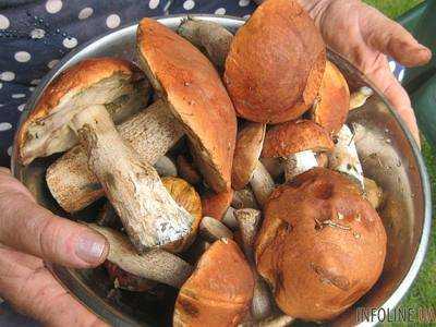 В Харьковской области отдыхающие отравились грибами