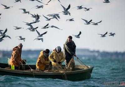 Четырех мужчин будут судить за браконьерство в водах Азовского моря