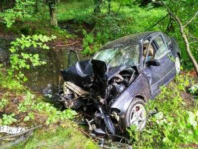 В Житомирской области легковушка врезалась в дерево: пострадали семь человек
