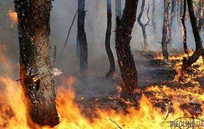В Украине до конца недели будет чрезвычайно пожароопасно