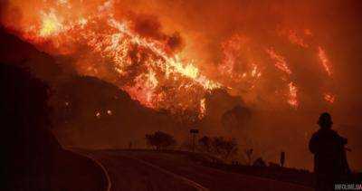 В Ливане бушуют лесные пожары