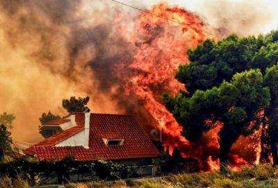 Число жертв лесных пожаров в Греции достигло 96 человек