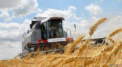 Аграрии завершают жатву: собрано 34 млн тонн ранних зерновых