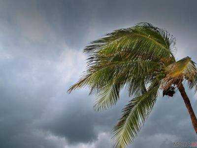 Гавайи готовятся к худшему за четверть века урагану