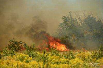 На Донбассе из-за вражеского обстрела загорелась сухая трава
