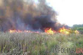 Вблизи водохранилища в Николаевской области горела сухая трава
