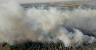 Лесной пожар в Харьковской области: до сих пор тлеют отдельные очаги