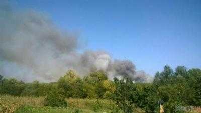 В Харьковской области горело 5 га леса