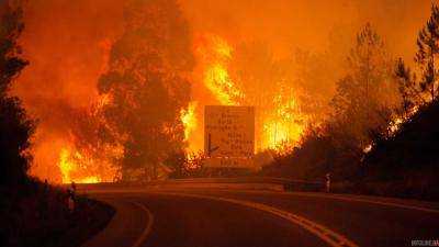 В Италии вспыхнул лесной пожар: около 500 человек эвакуировали