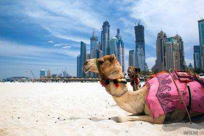 Какой регион лучше выбрать для отдыха в ОАЭ?