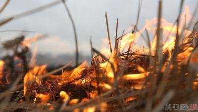 Украинцев предупредили о заморозках и пожароопасности