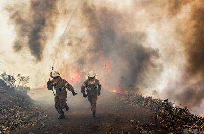 В Португалии вспыхнули лесные пожары: есть раненые