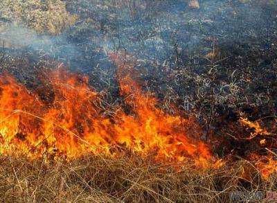 По Украине ожидается самый высокий уровень пожарной опасности