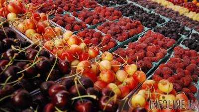Украина увеличила экспорт плодов и ягод