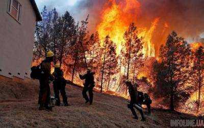 В Калифорнии число жертв пожаров возросло до 58 человек. Жуткие кадры стихии