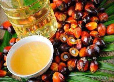 Крупнейший производитель пальмового масла терпит убытки