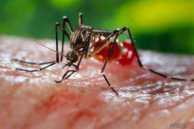 В Индонезии лихорадка денге убила более 100 человек