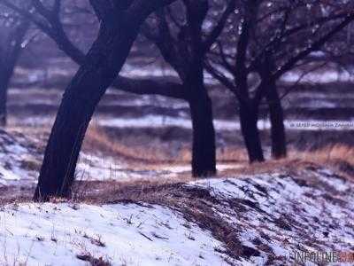 В Украине сегодня до 7 градусов тепла