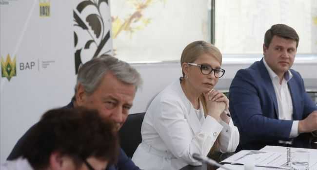Тимошенко и Гриценко прокомментировали идею с мостом между каналами Кремля и Медведчука