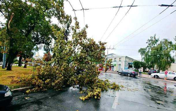 В Киеве ураган повалил 120 деревьев
