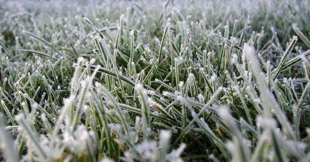 Заморозки и дожди со снегом: синоптик «обрадовала» прогнозом до конца недели