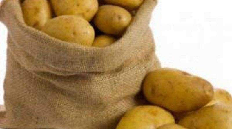 В Украину завезли ядовитый картофель