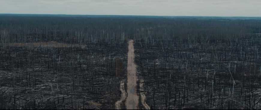 Чернобыльская зона после пожаров: на это страшно смотреть