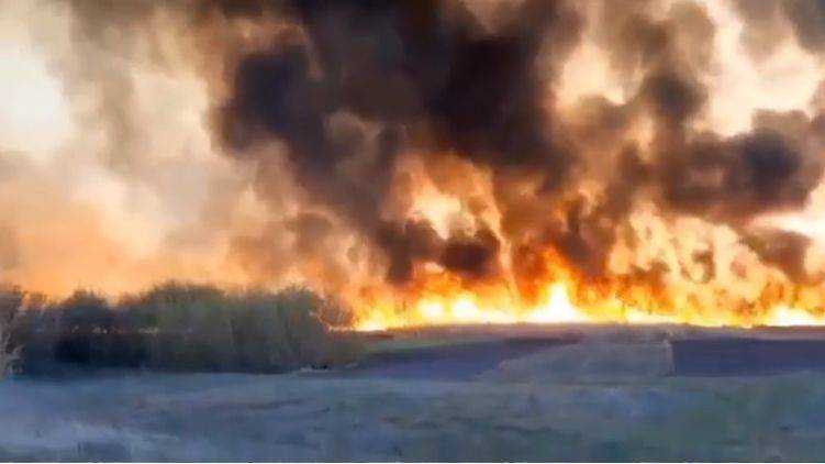 Пожарные ничего не могли сделать: мощный пожар охватил Полтавскую область