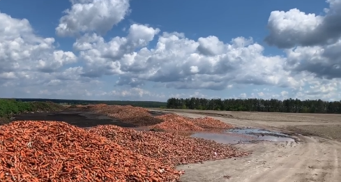 Под Киевом фермер выбросил тонны испорченного урожая: подробности