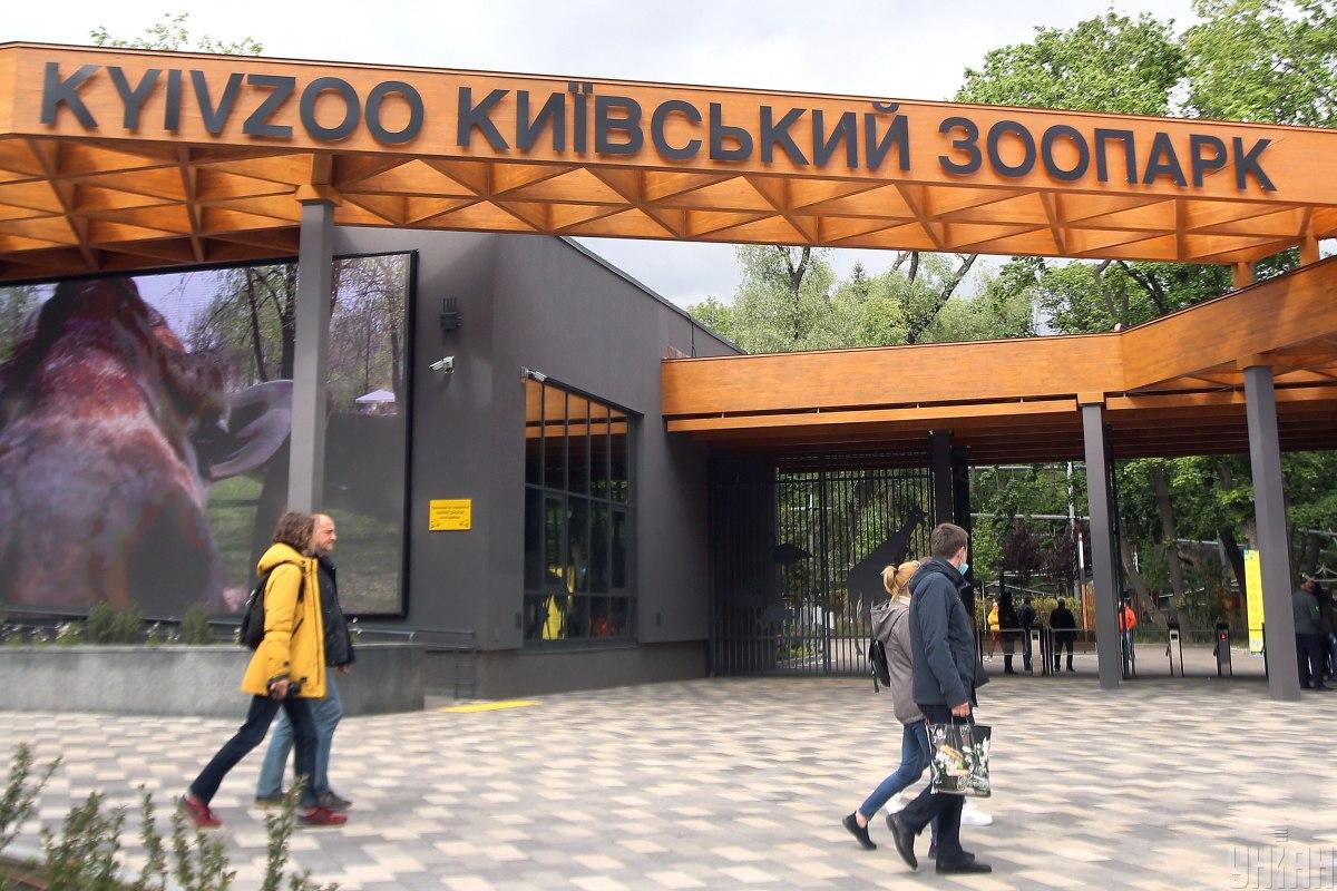 Атака на Киев: обломки ракеты упали на территорию зоопарка