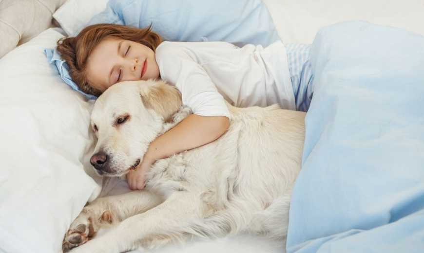 Причины, по которым можно позволить собаке спать вместе с вами