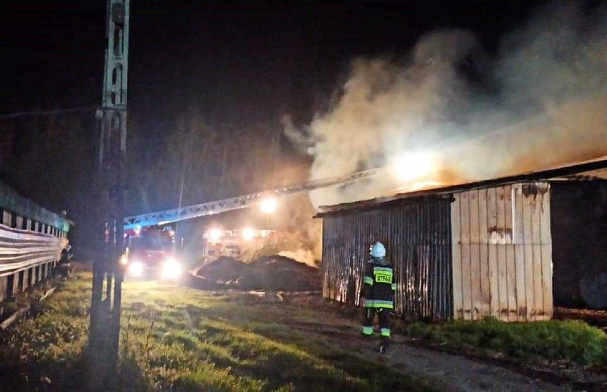 П'яні українці підпалили сарай і пограбували магазин у Польщі