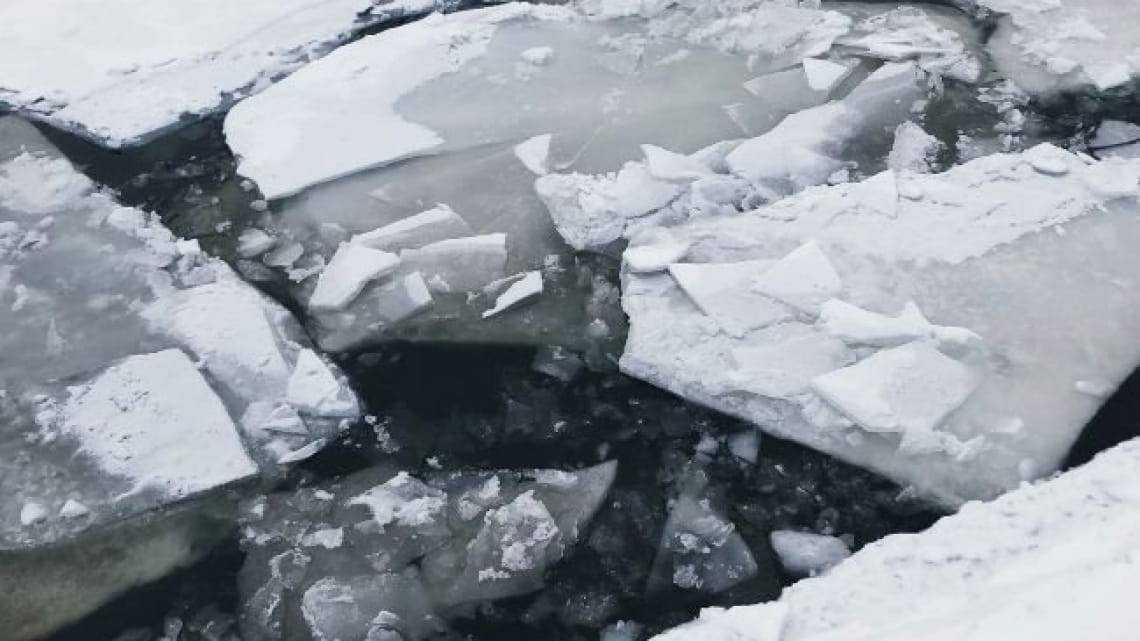 У Києві собака врятувала дитину, яка провалилася під лід