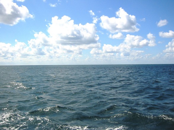 Из-за подрыва Каховской ГЭС в Черном море резко снизилась соленость воды