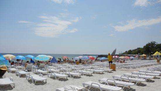На пляжах Одессы не рекомендуют купаться