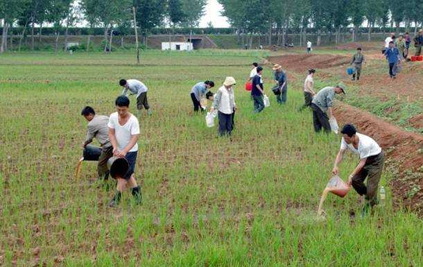 У Північній Кореї голод загрожує для 10 млн людей
