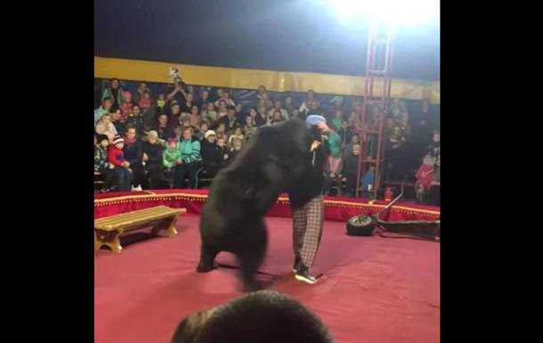 Цирковой медведь напал на дрессировщика