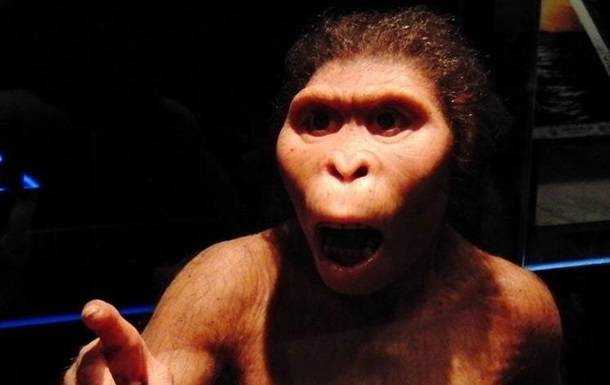 Древние люди были глупее современных обезьян - ученые
