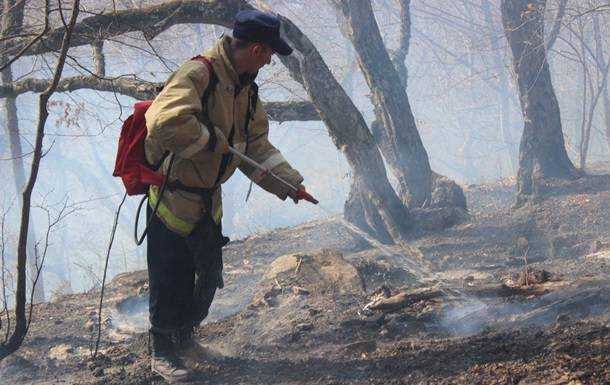 В Крыму 500 человек тушат крупный лесной пожар